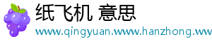 纸飞机 意思